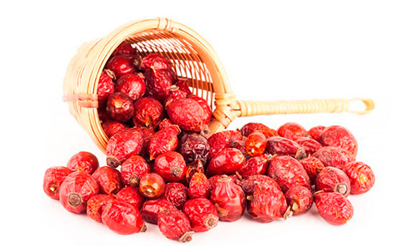 Értékesítése Galagonya Gyümölcsök (Hawthorn Fruits) ömlesztve a gyártótól a leg