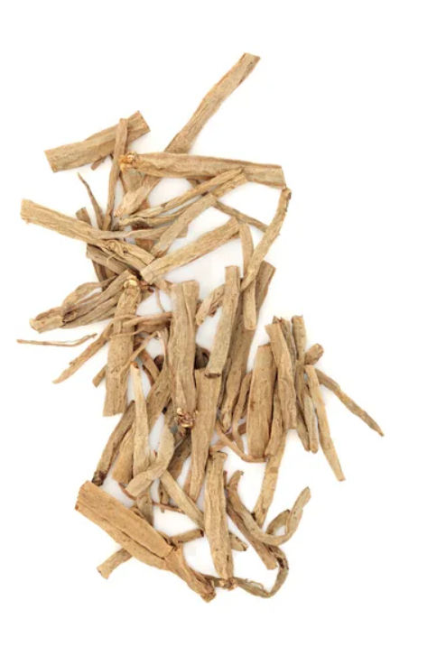 Értékesítése Közönséges édeskömény gyökér (Common Fennel Root) ömlesztve a gy