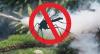 
Szúnyogirtás Veszprém Megye Településein és városaiban.
 Szúnyogirtás Telefon: 06 205723309
Veszprém megyei település nyári gondja hogy temérdek szúnyog keseríti meg az ott lakók életét.
Rendeljen gyors és biztonságos szúnyogirtást szúnyogirtó szakembereinktől.
Szúnyo